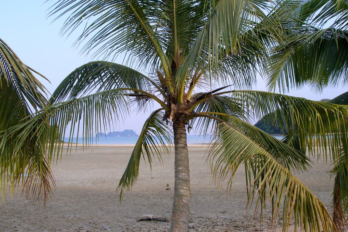 Laem Haad Beach